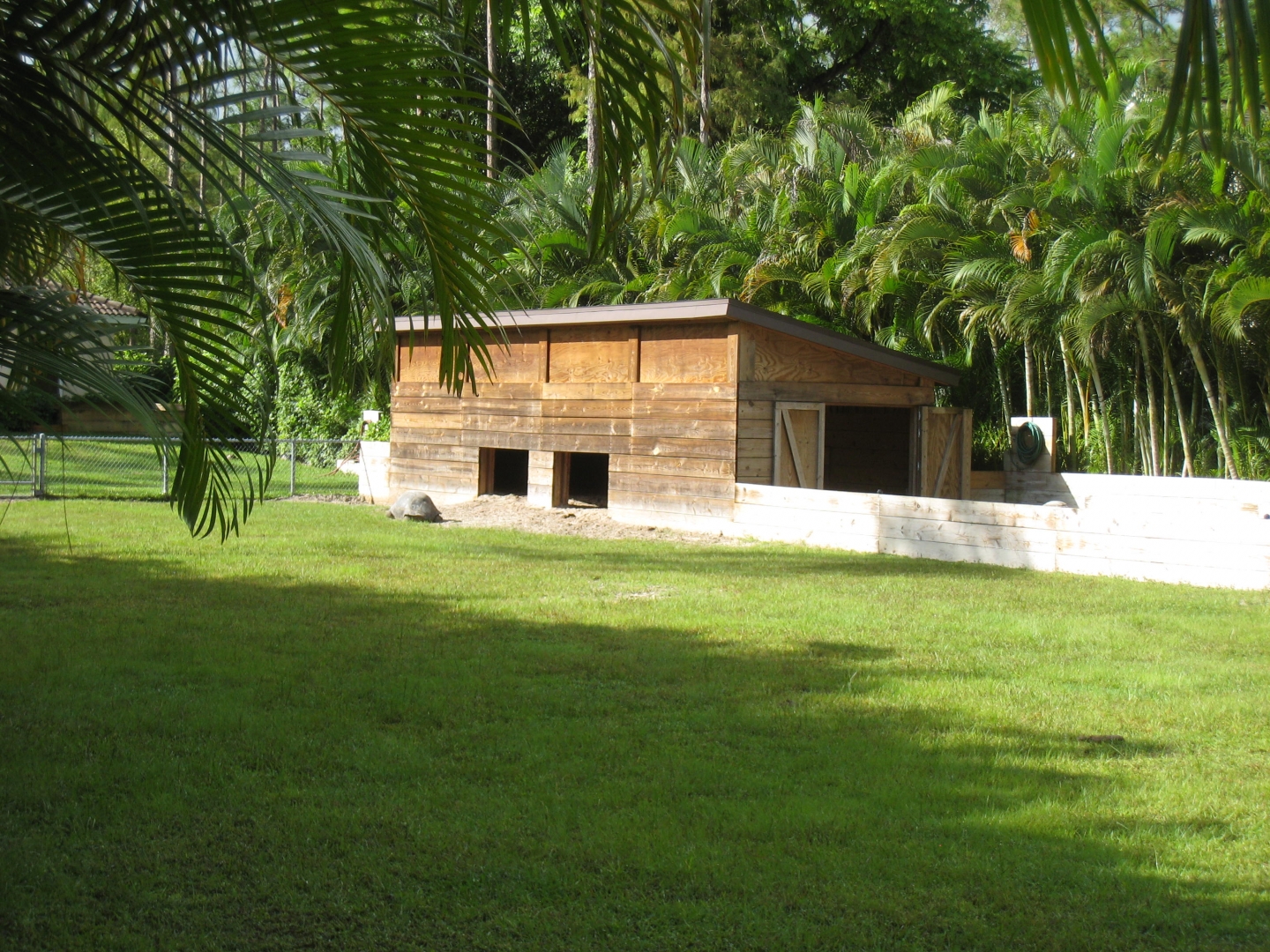 ALDABRA BREEDER