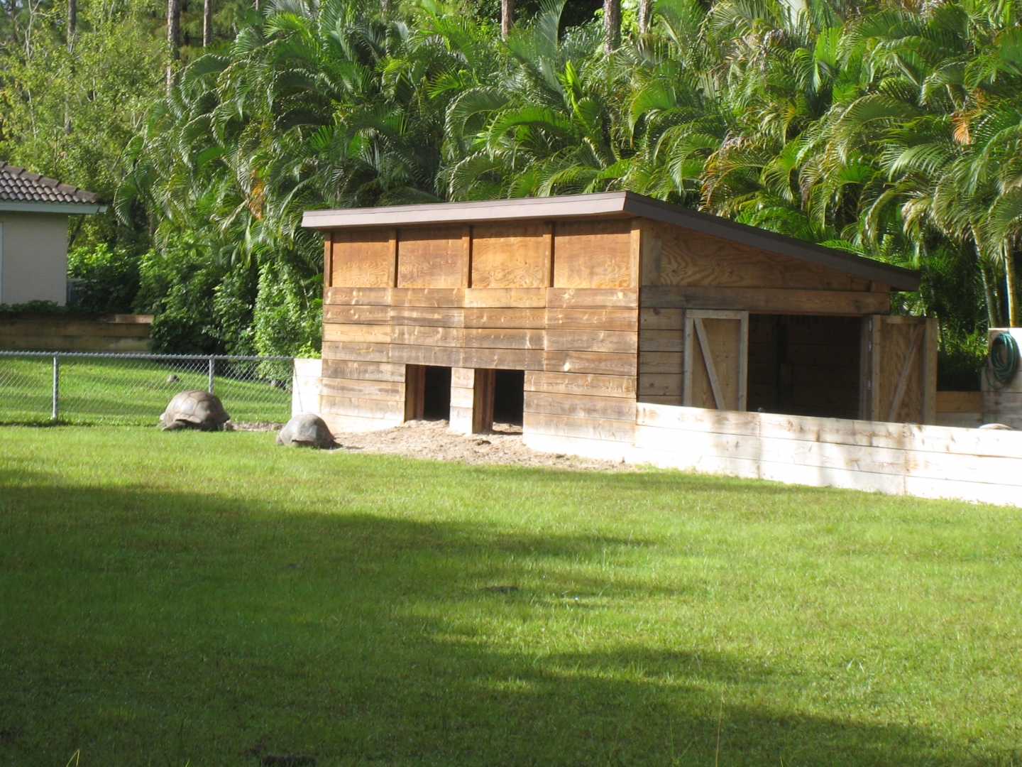 ALDABRA BREEDER