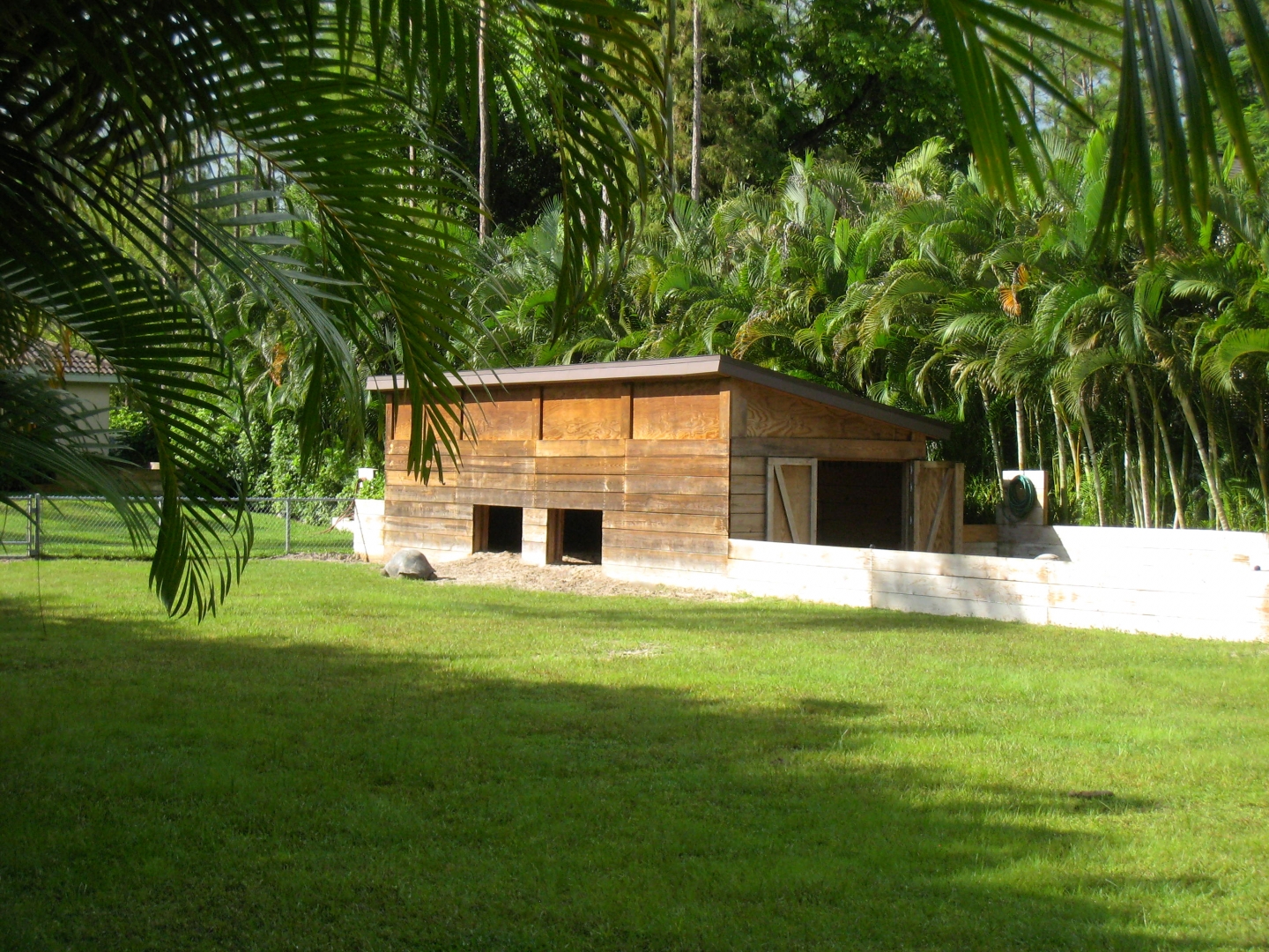 ALDABRA BREEDER