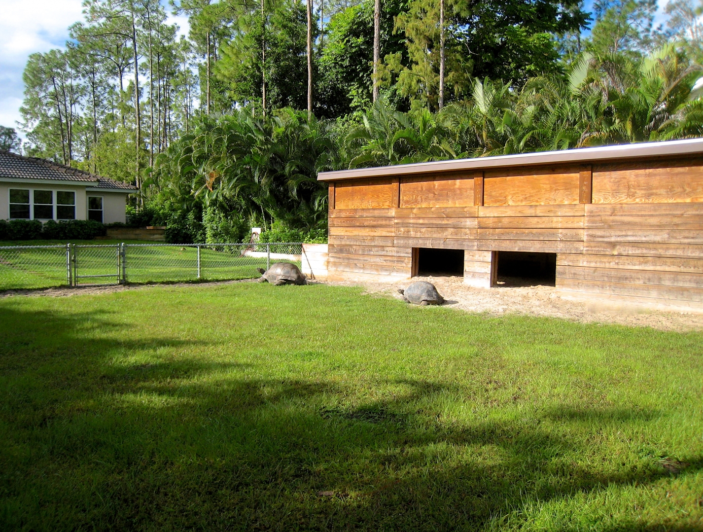 ALDABRA BREEDER