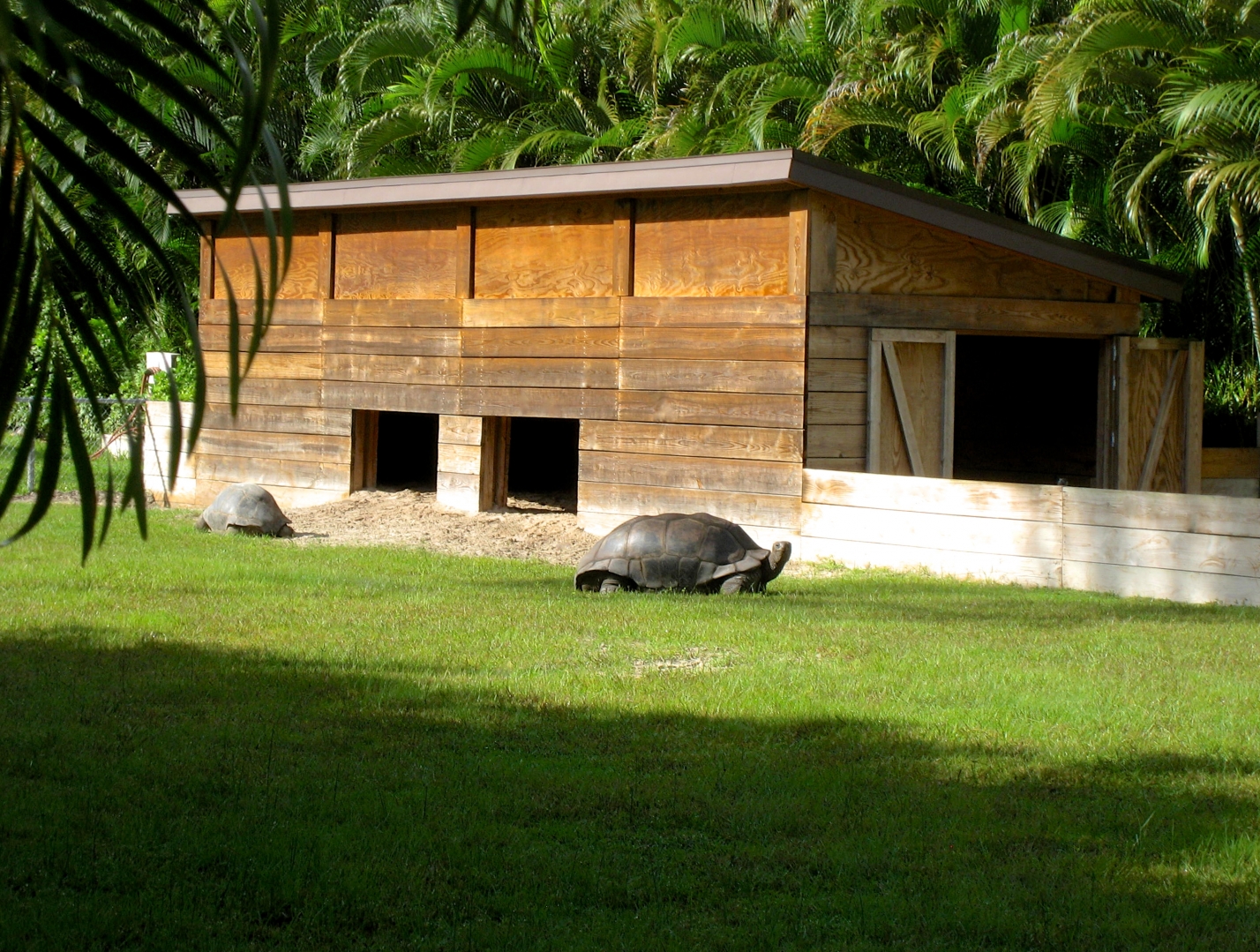 ALDABRA BREEDER