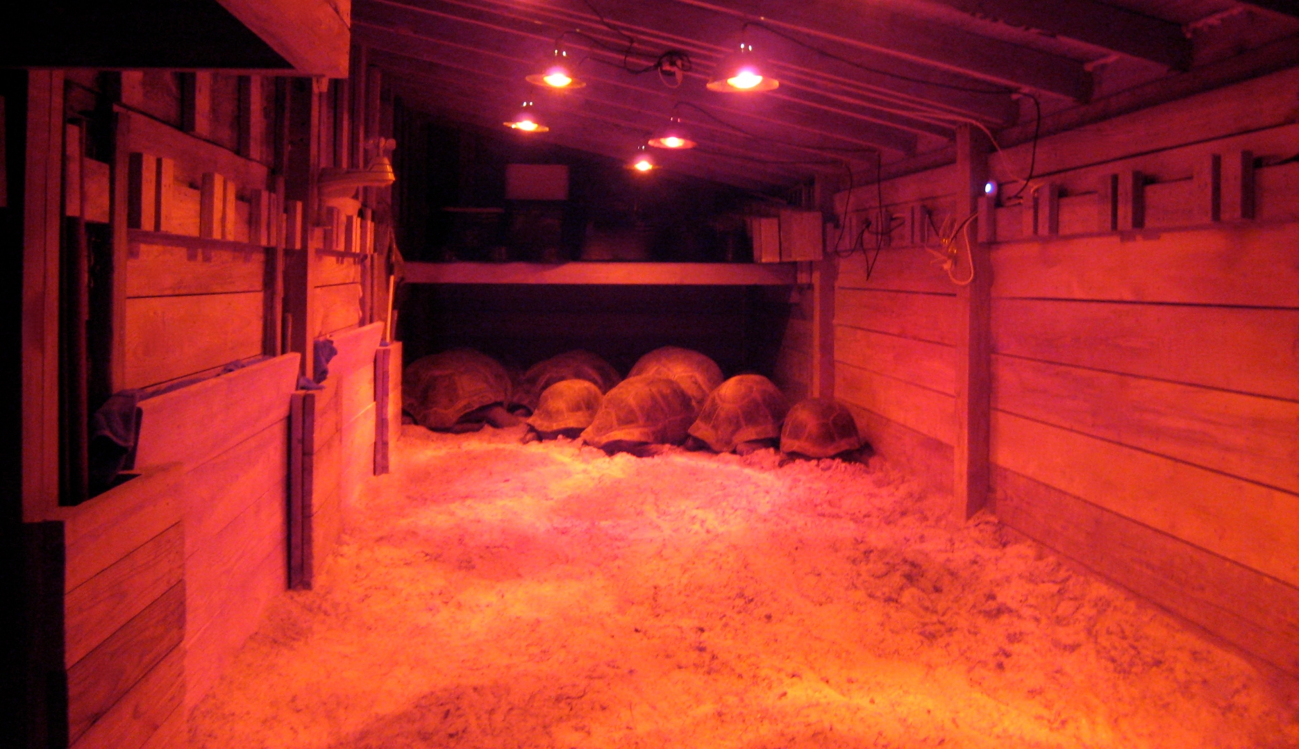 ALDABRA BREEDER