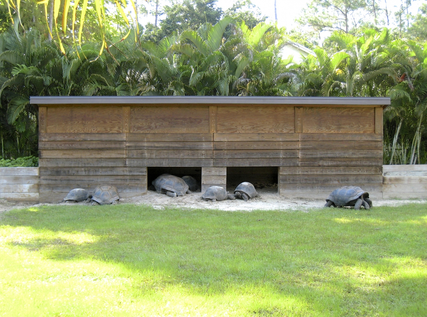 ALDABRA BREEDER