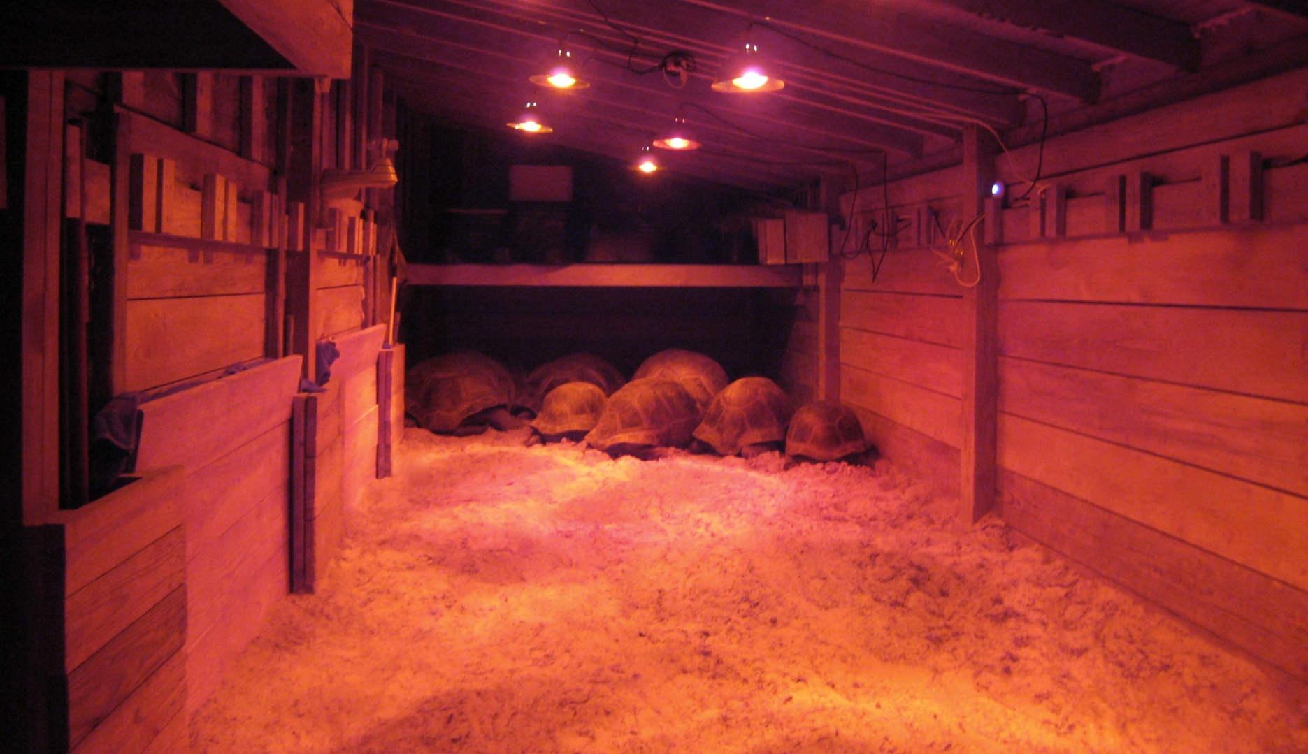 ALDABRA BREEDER