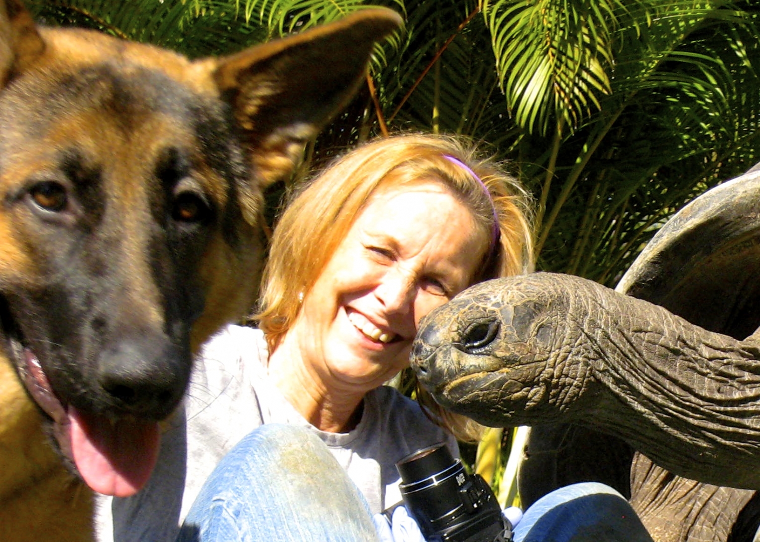 ALDABRA BREEDER