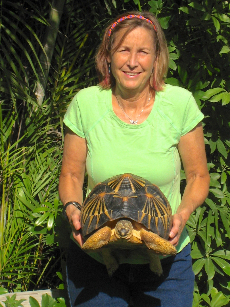 ALDABRA BREEDER
