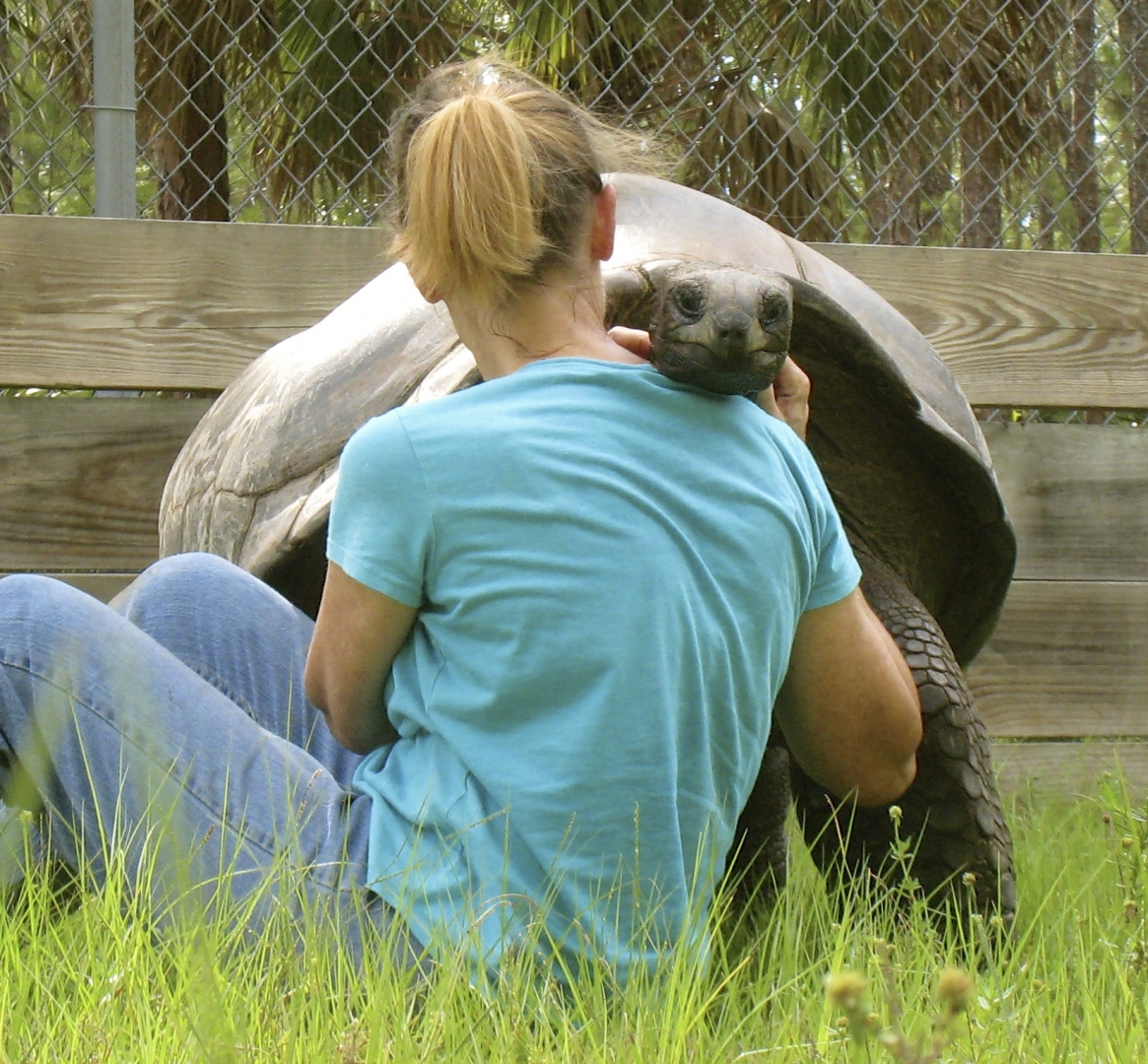 ALDABRA BREEDER