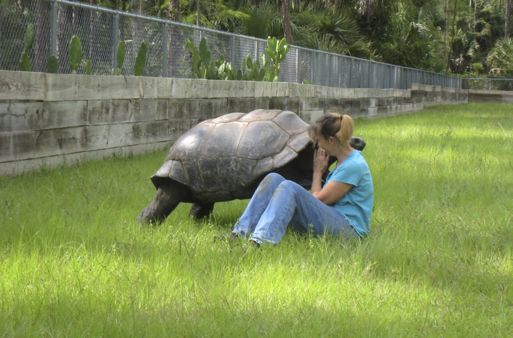 ALDABRA BREEDER