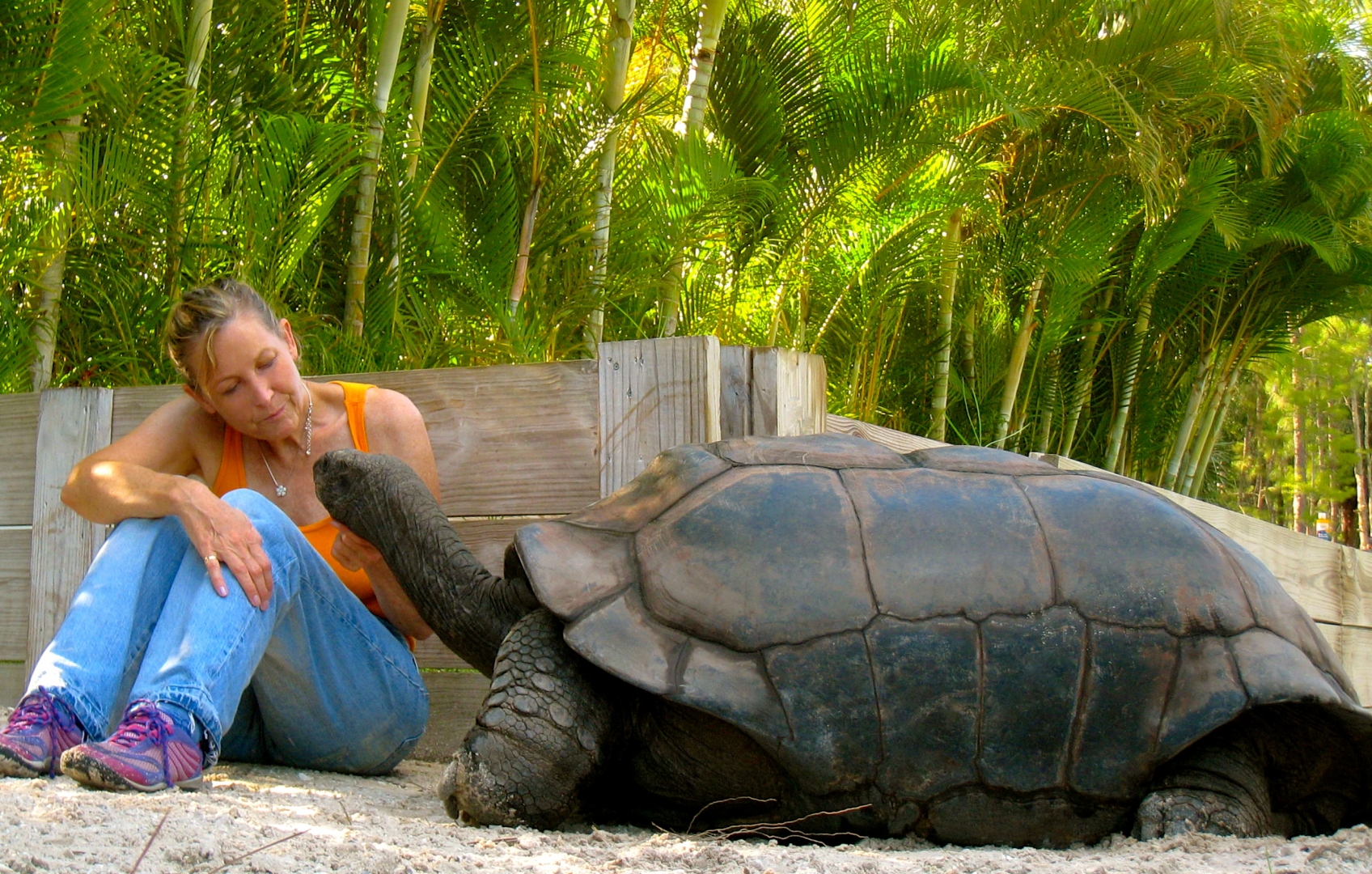ALDABRA BREEDER