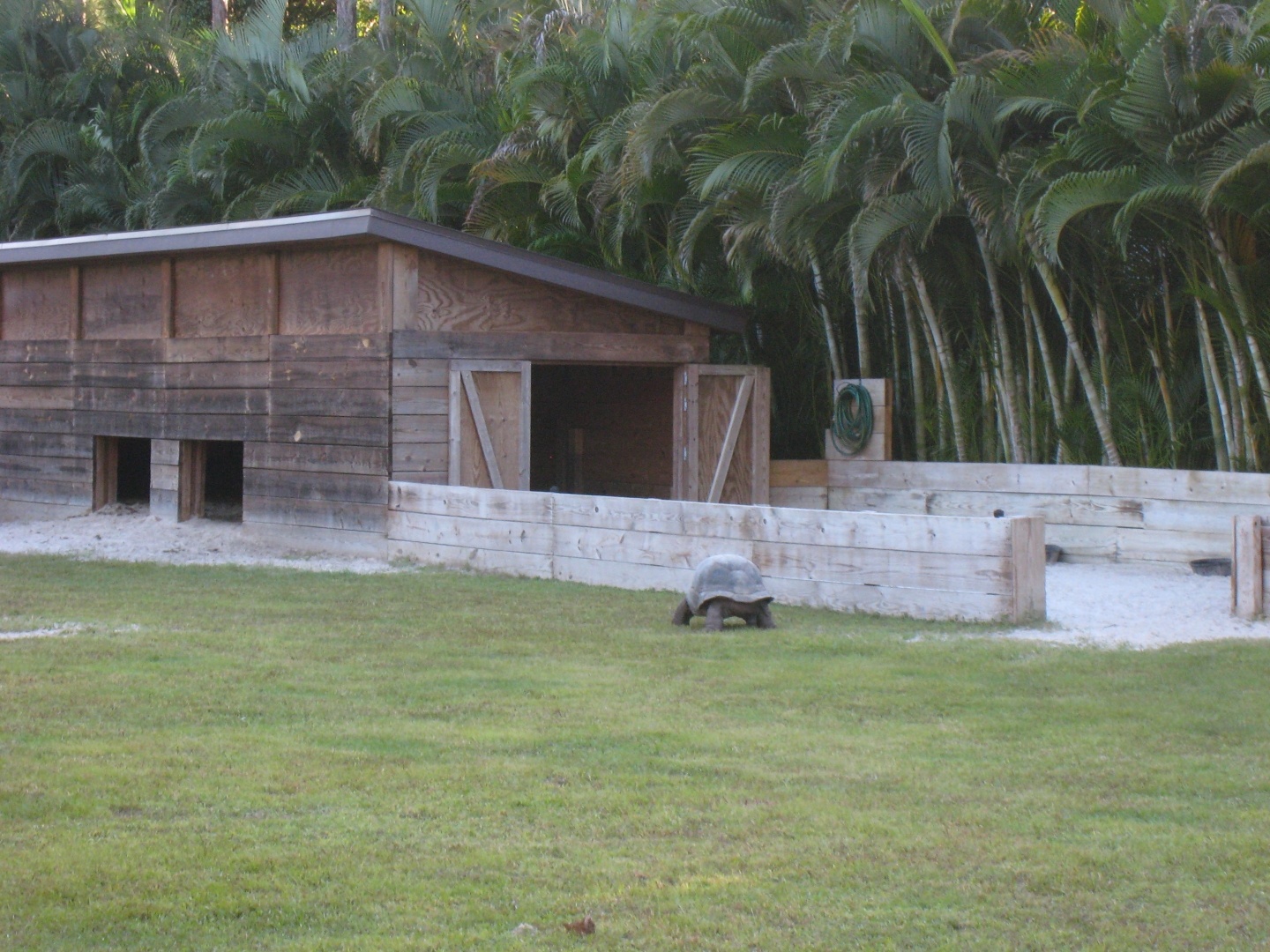 ALDABRA BREEDER