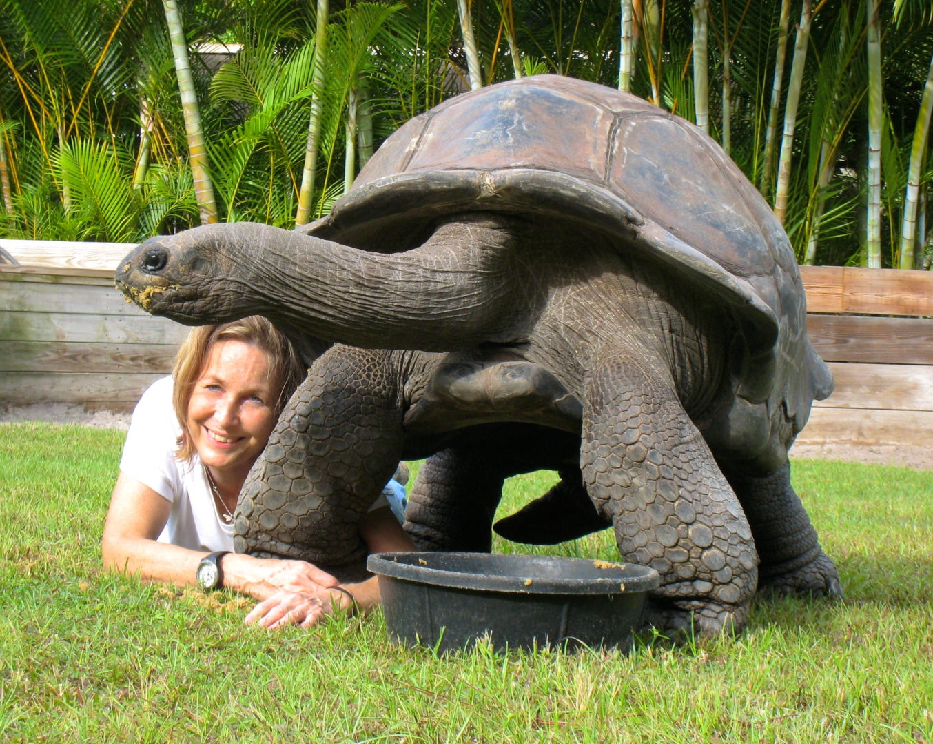 ALDABRA BREEDER