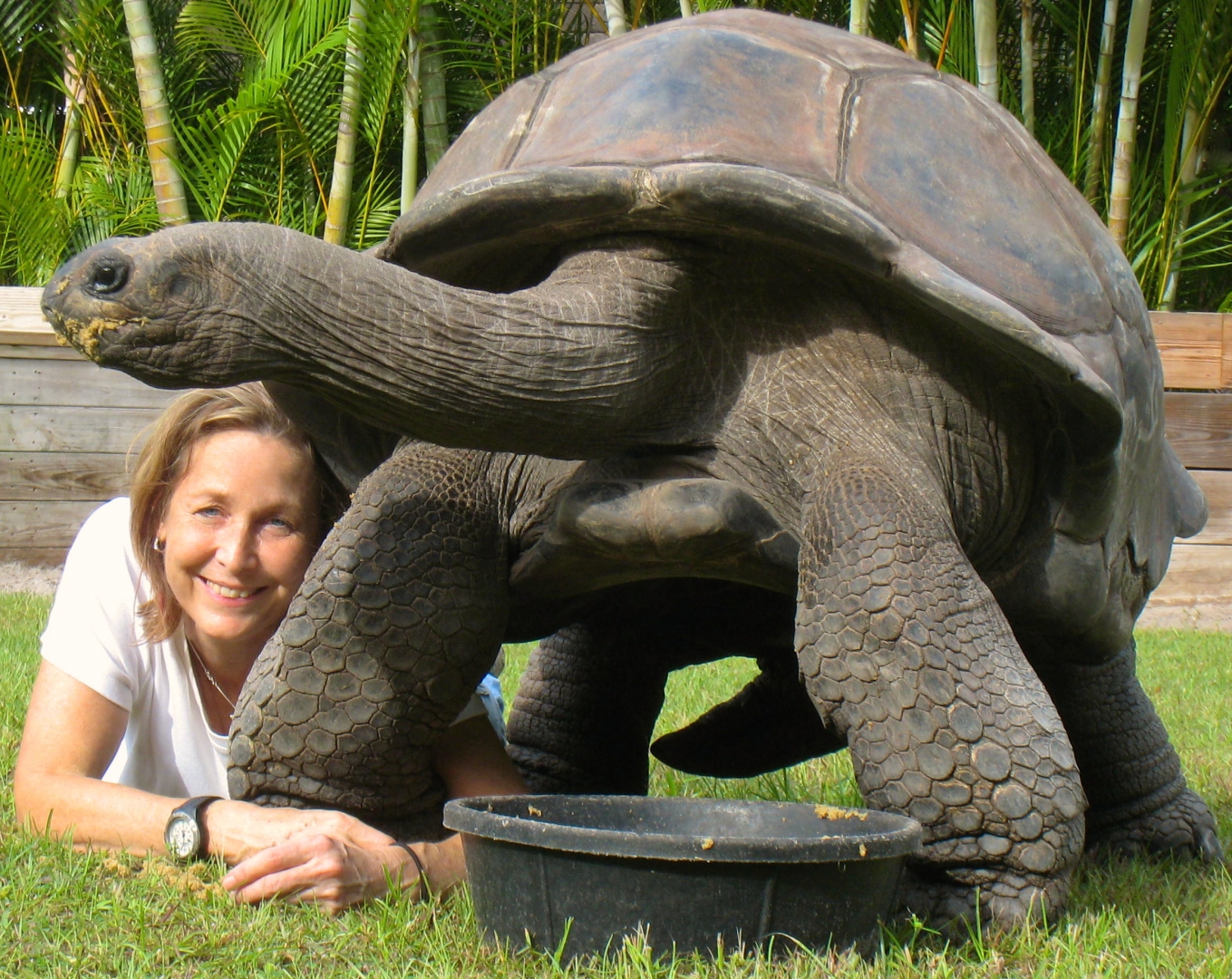 ALDABRA BREEDER