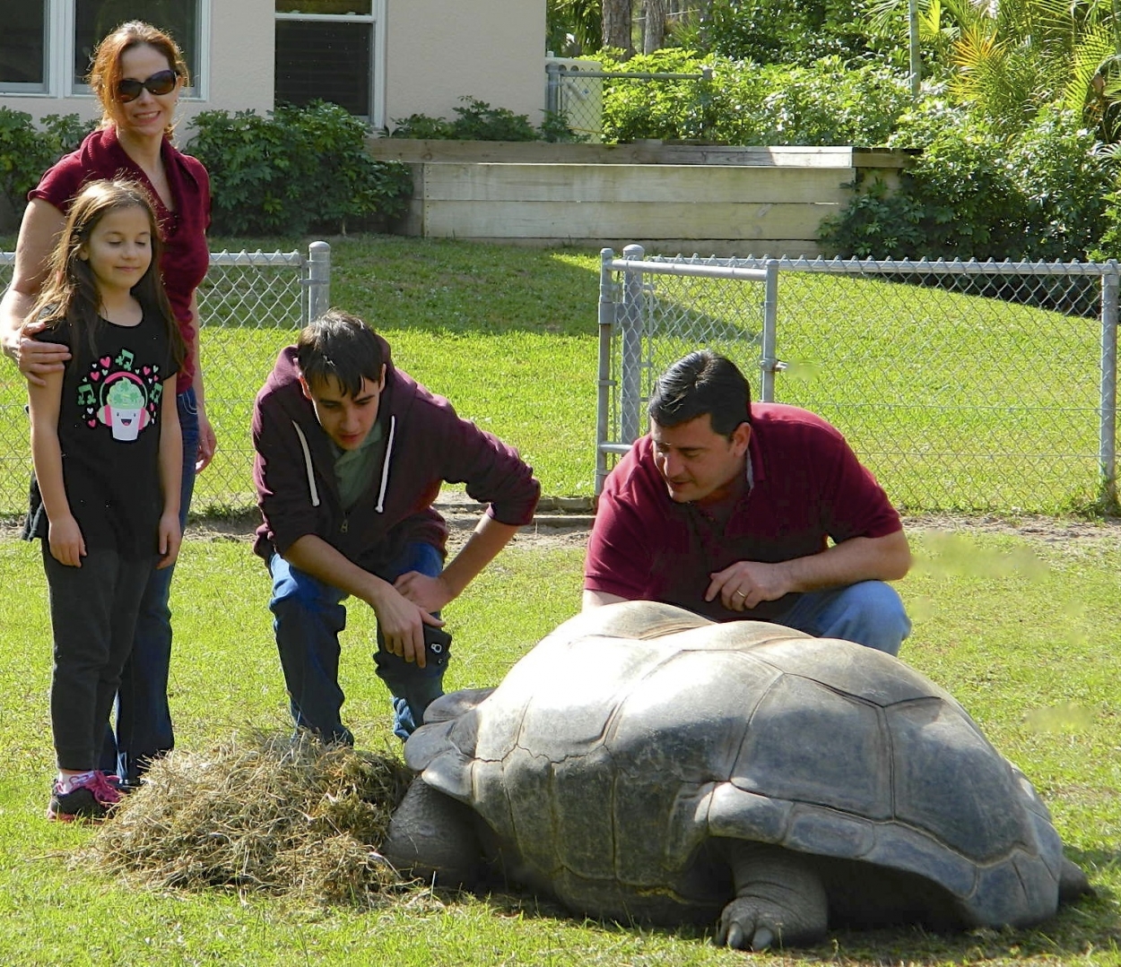 ALDABRA BREEDER