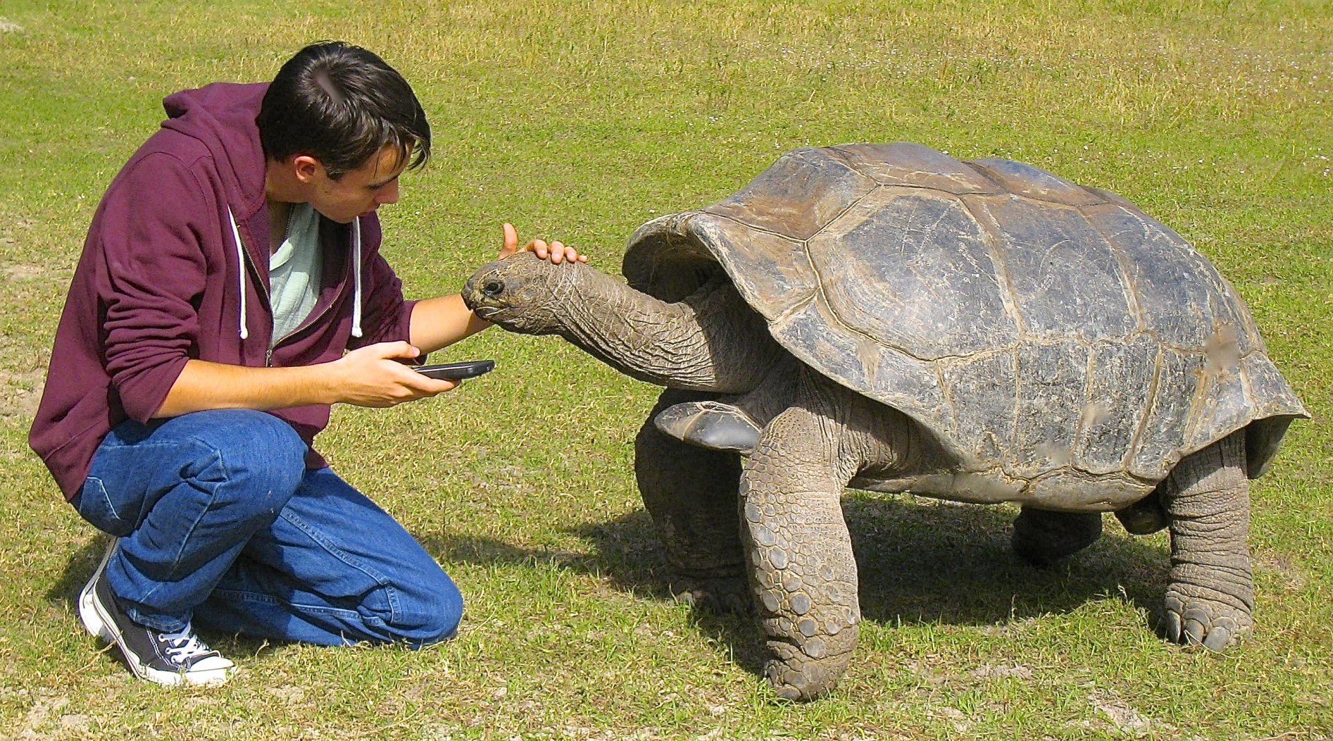 ALDABRA BREEDER