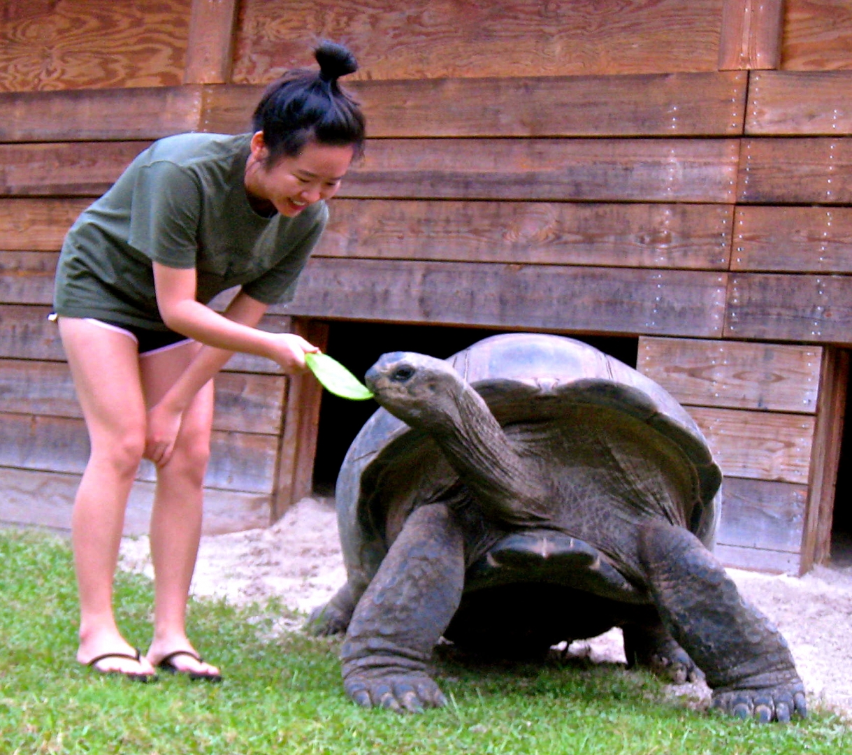ALDABRA BREEDER