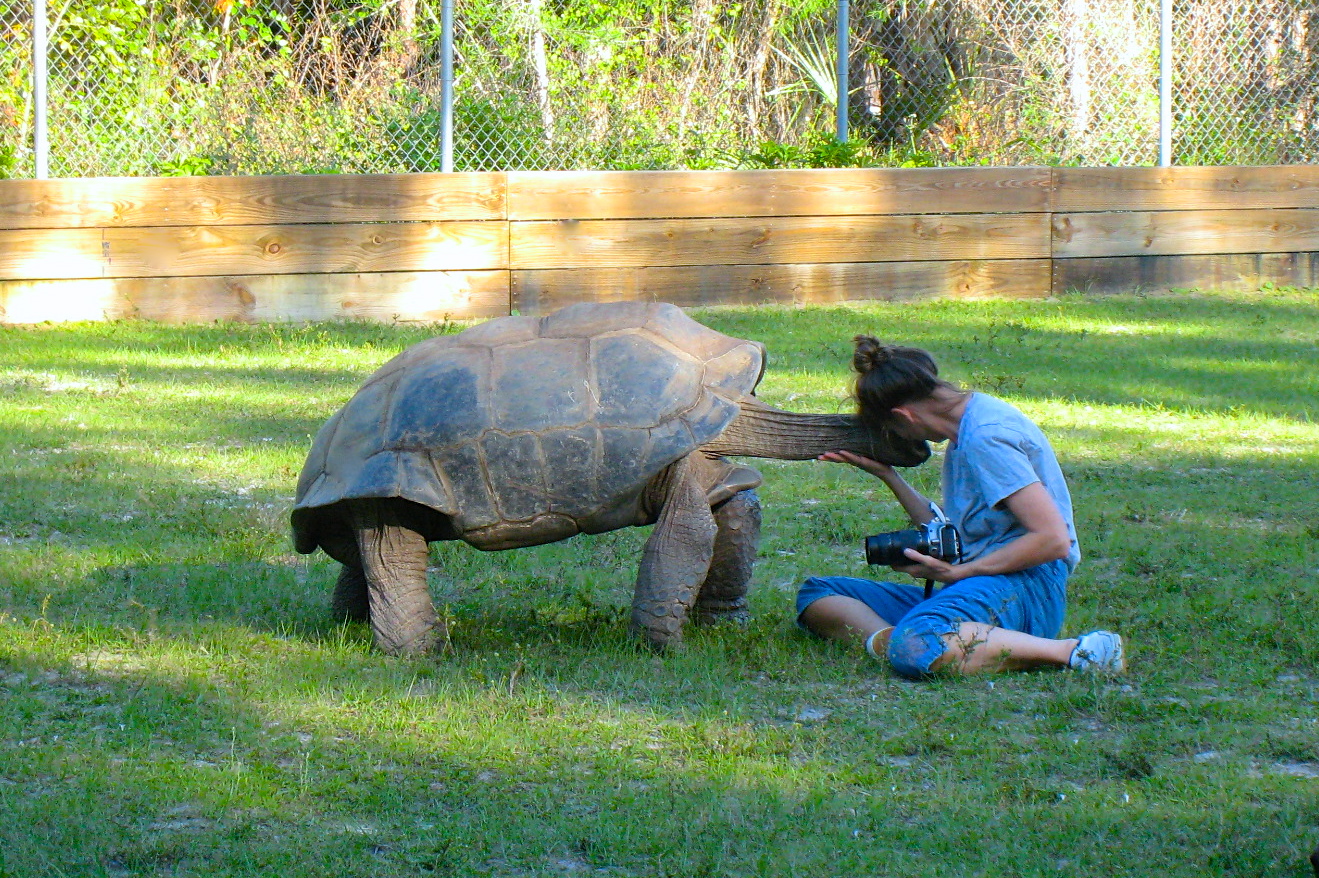 ALDABRA BREEDER