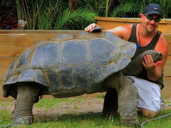 ALDABRA BREEDER