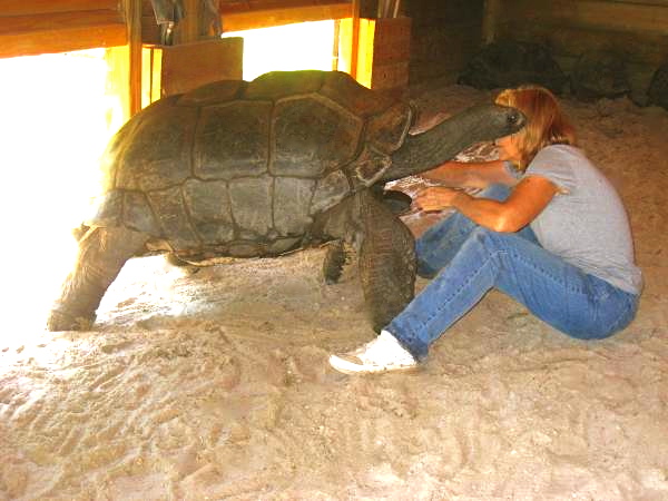 ALDABRA BREEDER