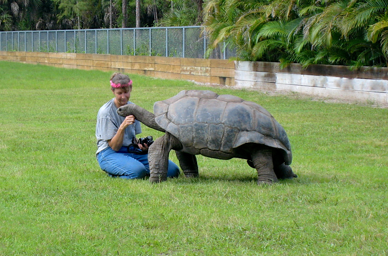 ALDABRA BREEDER