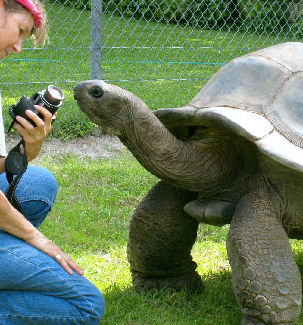 ALDABRA BREEDER
