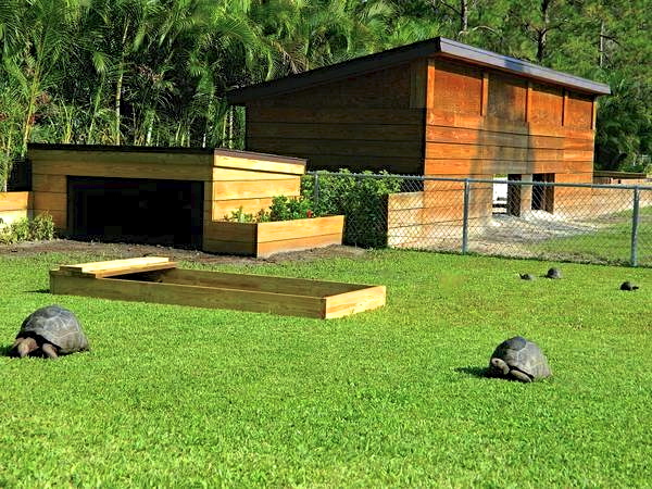 ALDABRA BREEDER