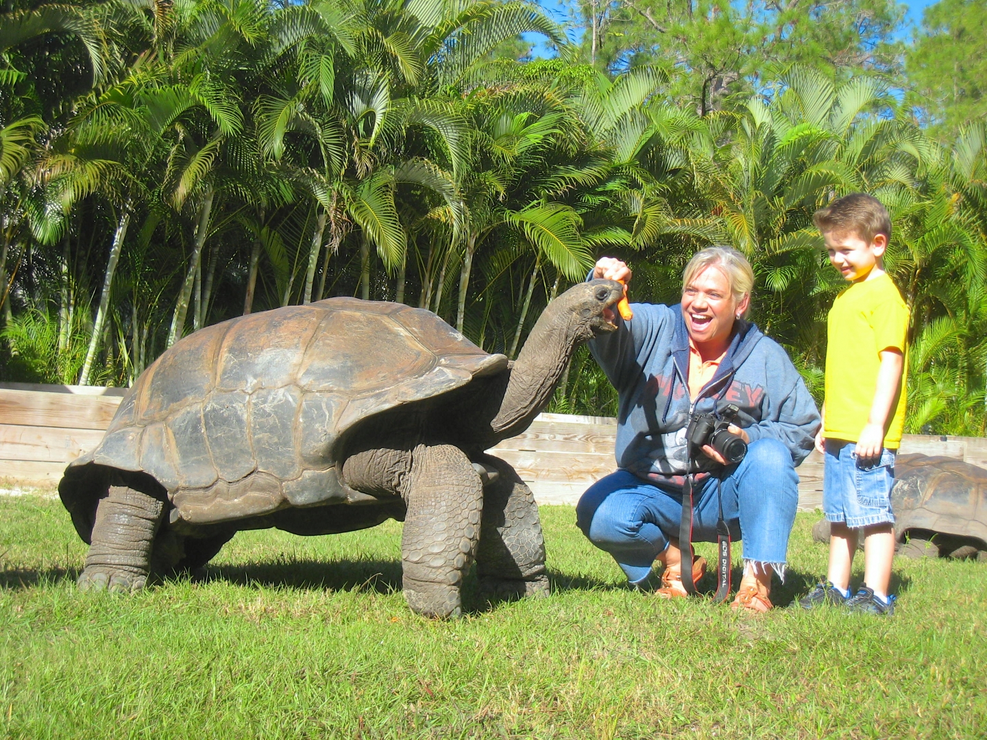 ALDABRA BREEDER
