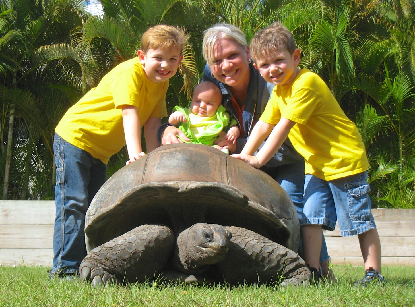 ALDABRA BREEDER