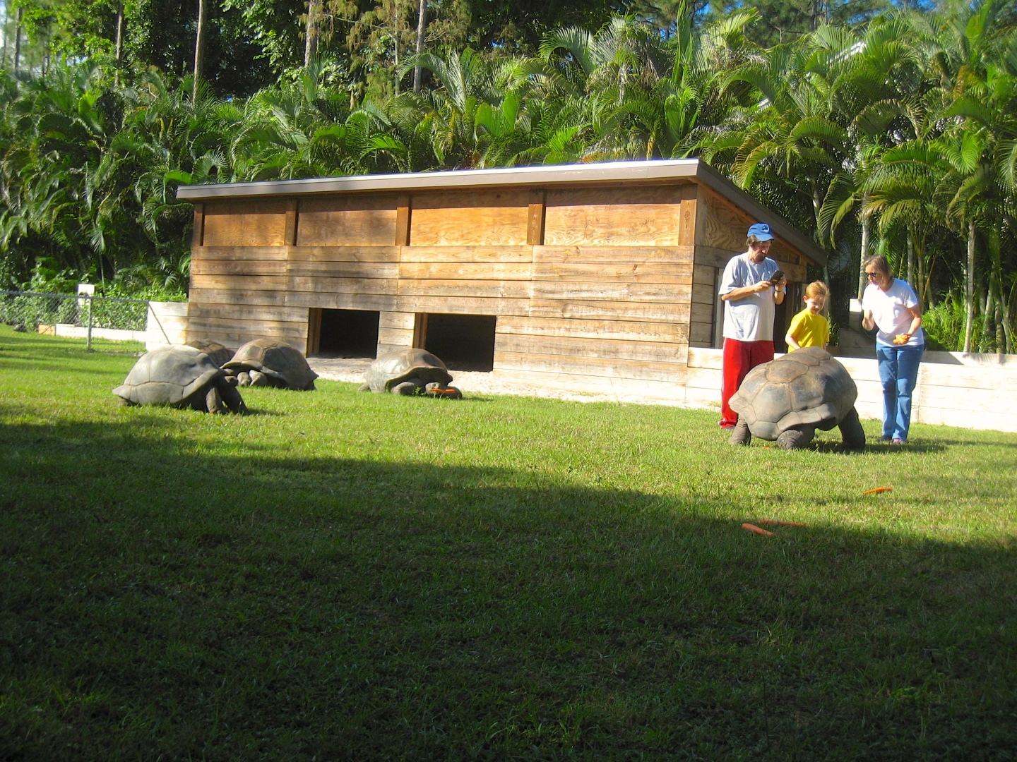 ALDABRA BREEDER