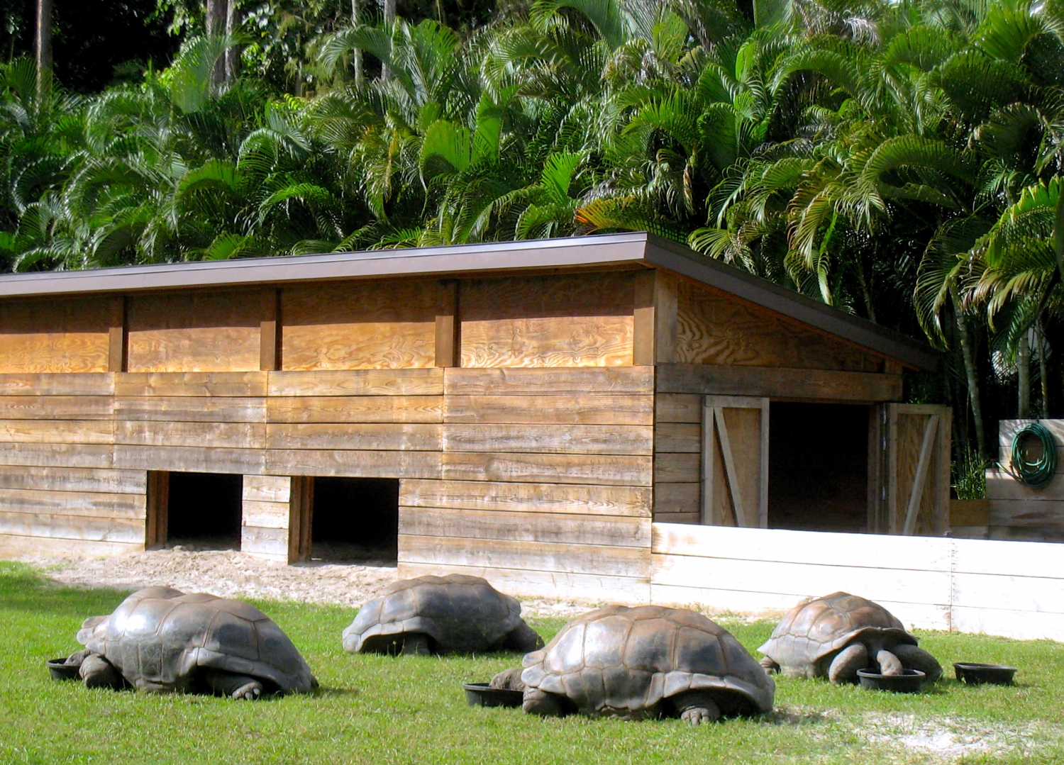 ALDABRA BREEDER