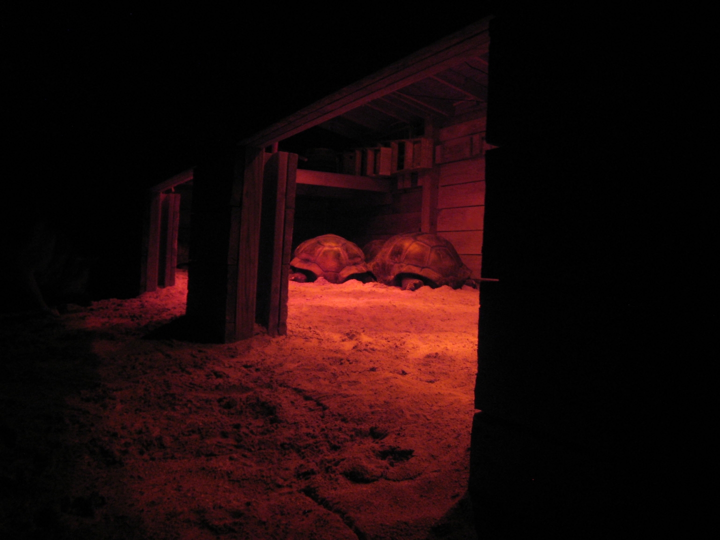 ALDABRA BREEDER
