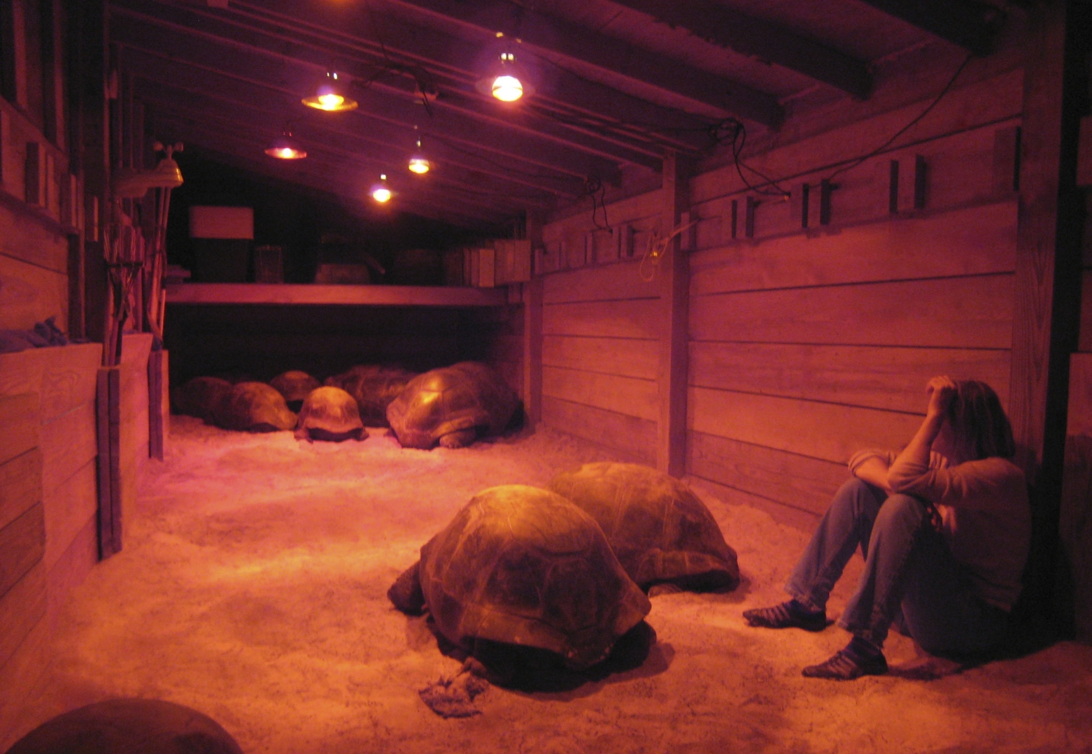ALDABRA BREEDER