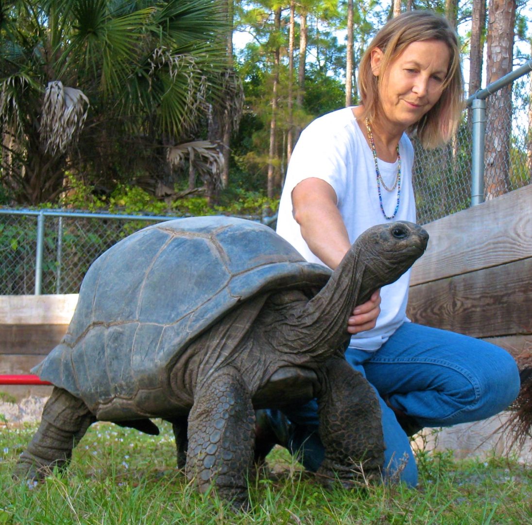ALDABRA BREEDER