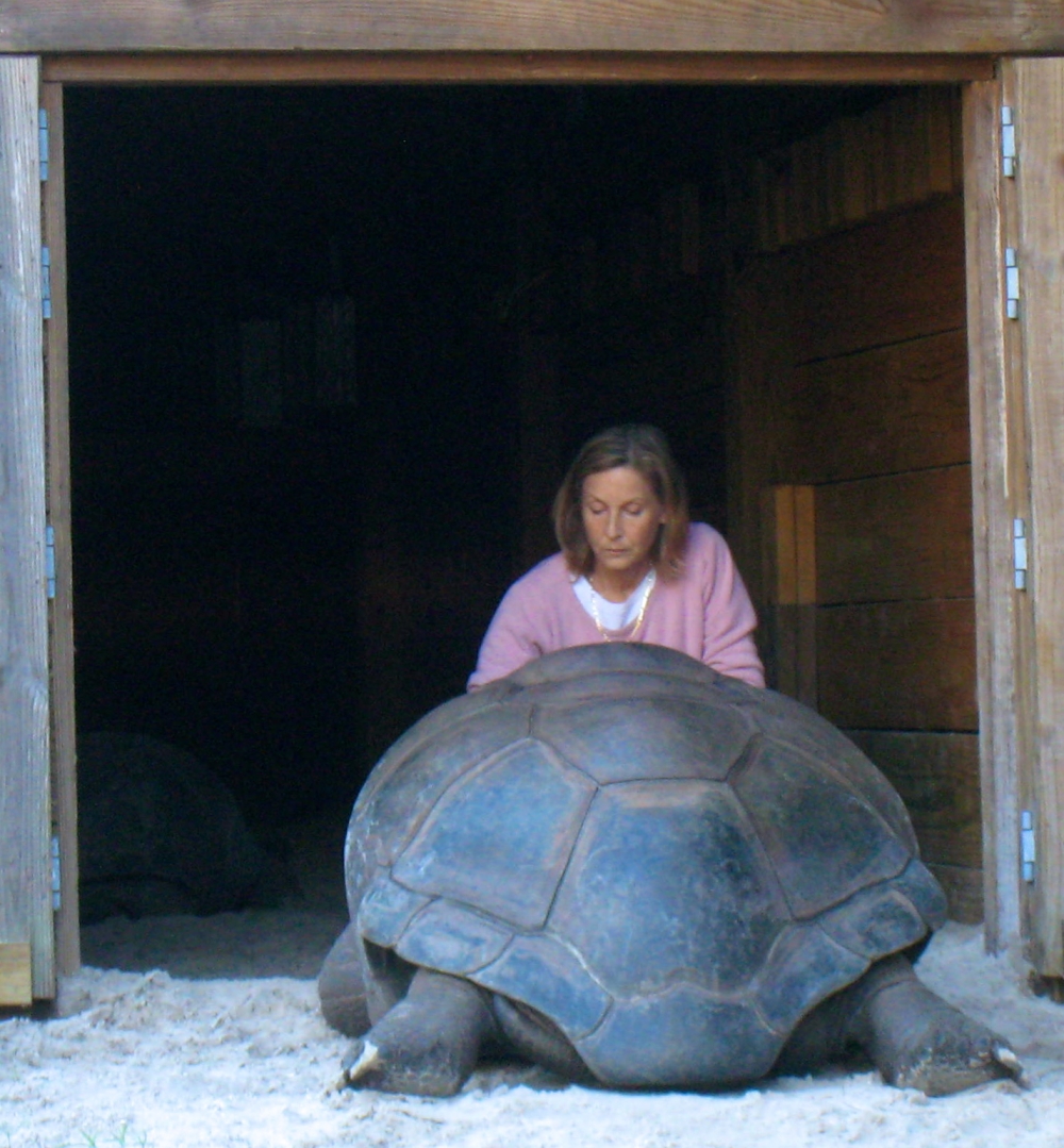 ALDABRA BREEDER