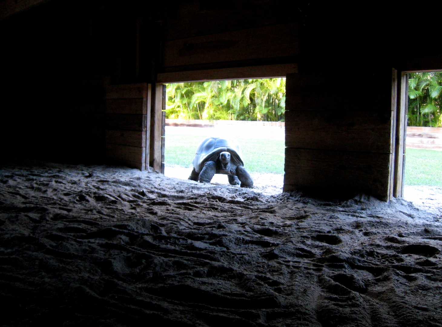 ALDABRA BREEDER