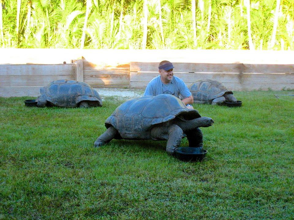 ALDABRA BREEDER