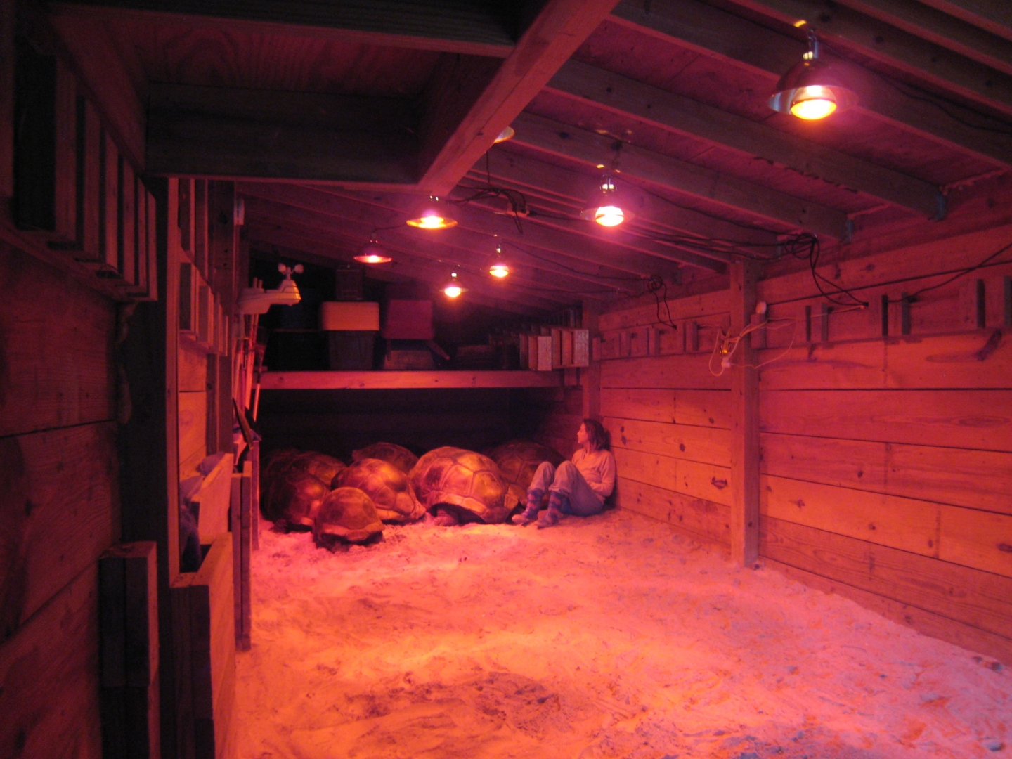 ALDABRA BREEDER