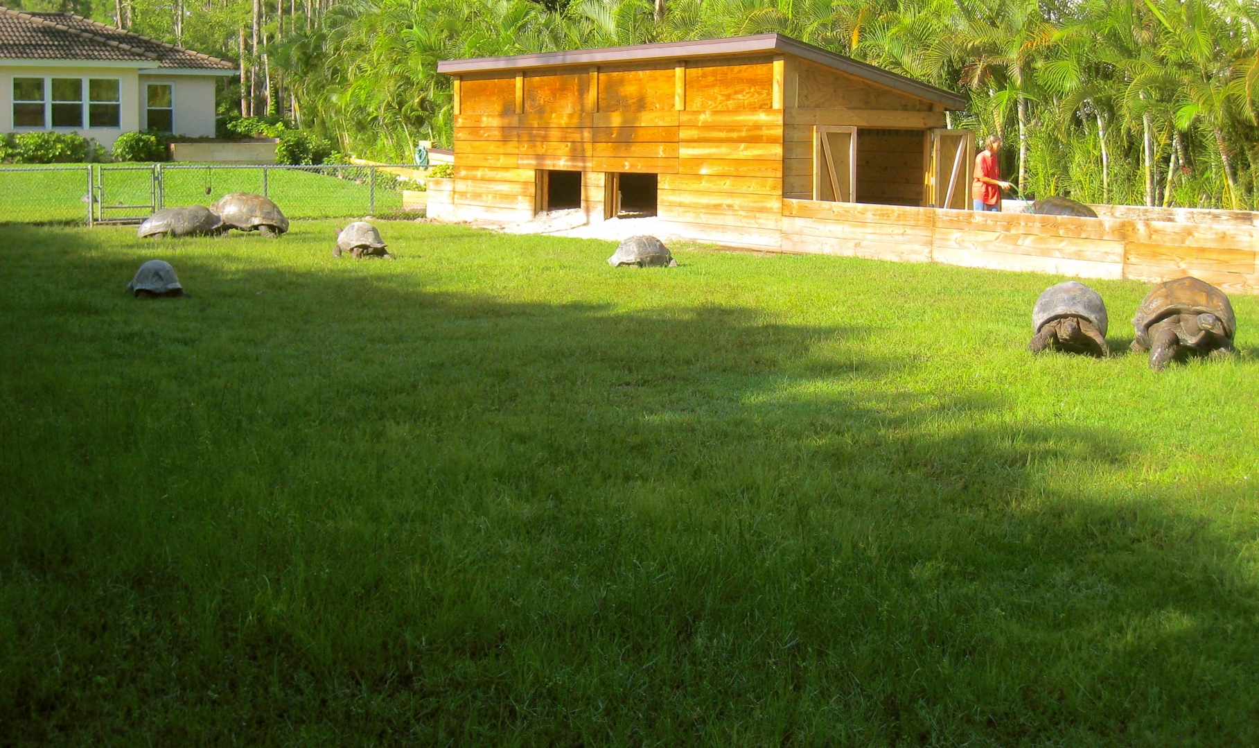 ALDABRA BREEDERS