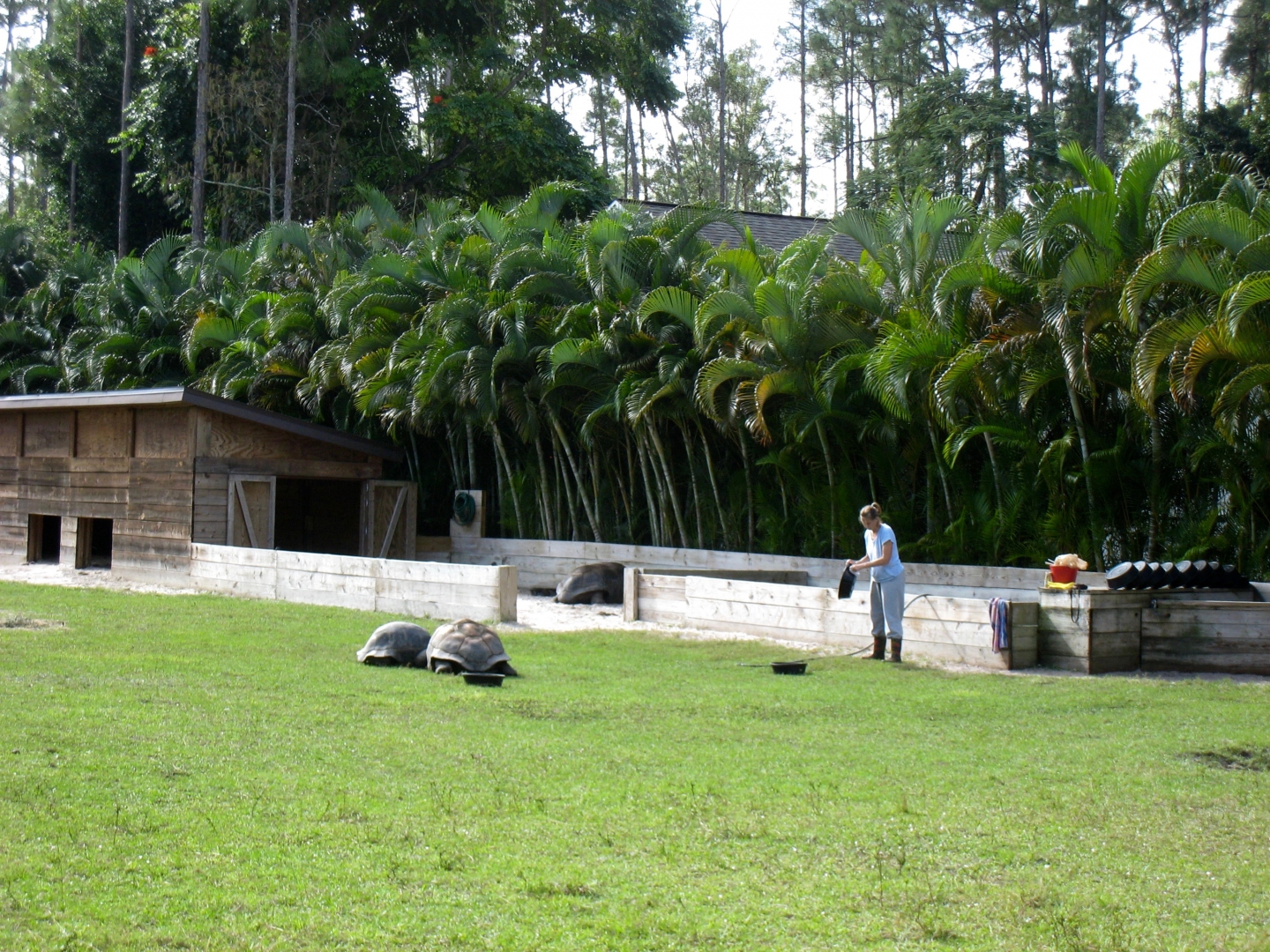 Aldabra Breeders