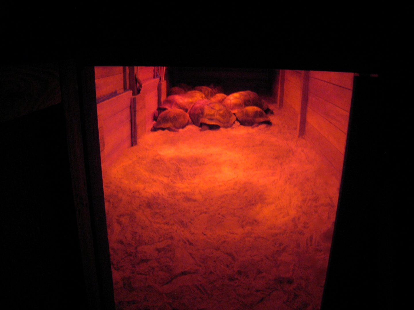 Aldabra Breeders