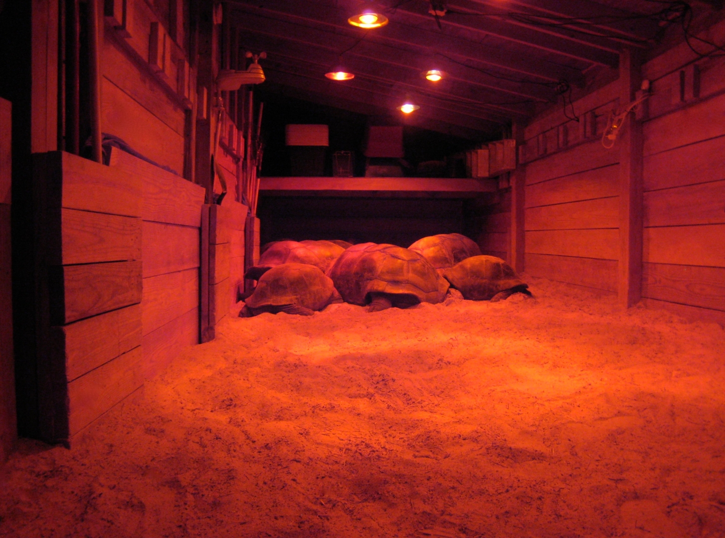 Aldabra Breeders