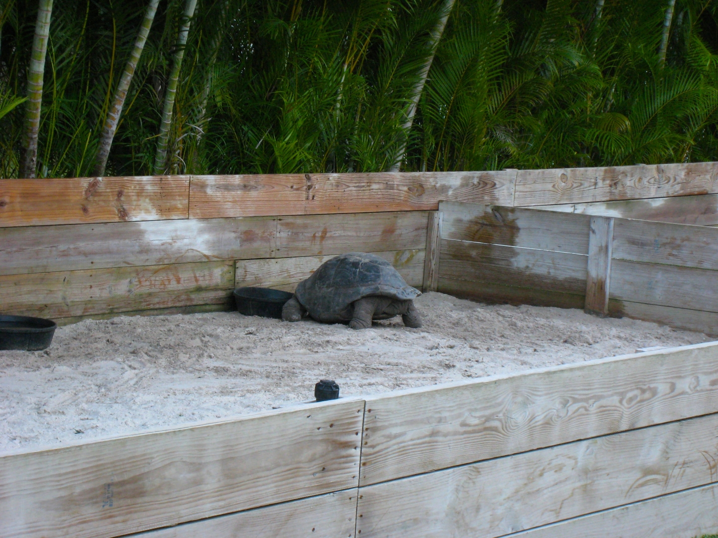 Aldabra Breeders