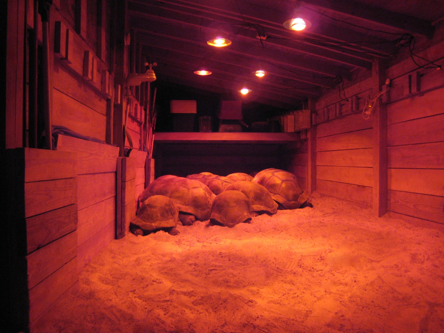 Aldabra Breeders