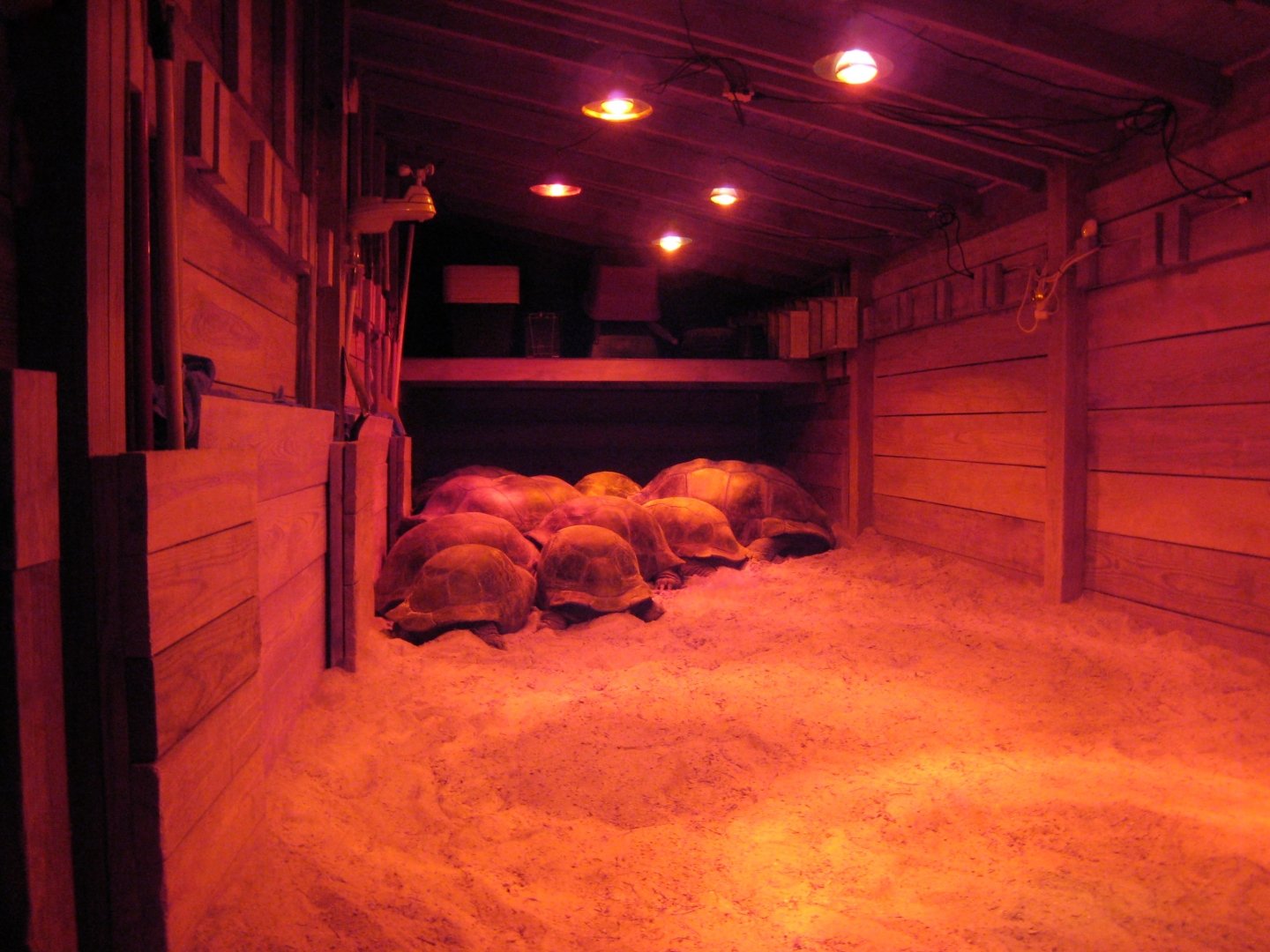 Aldabra Breeders