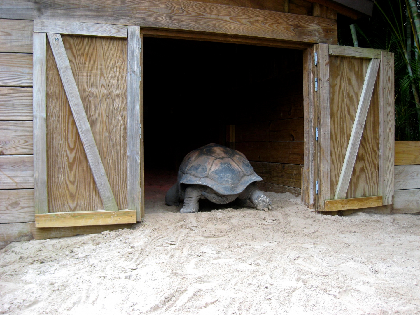 Aldabra Breeders