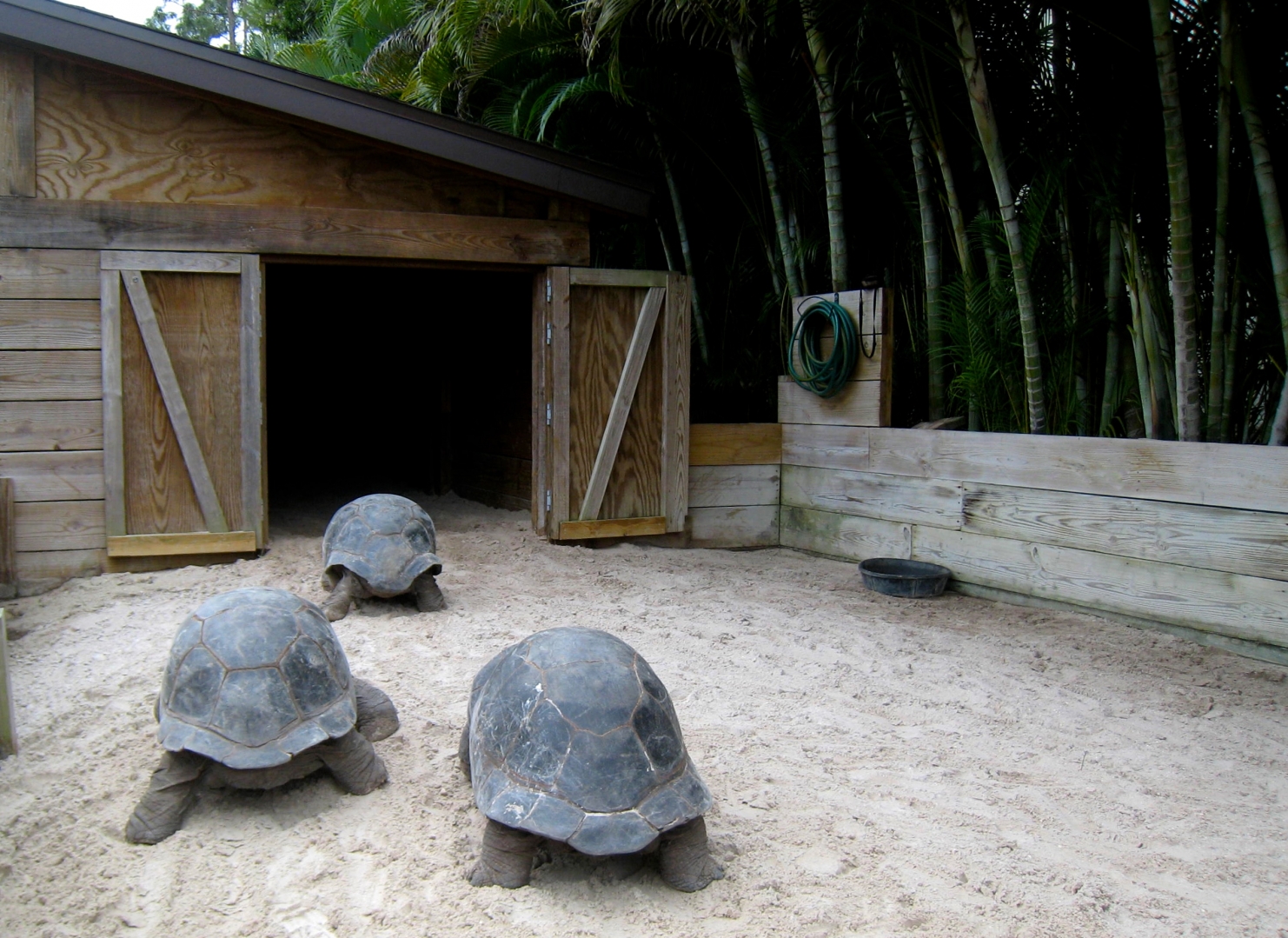 Aldabra Breeders