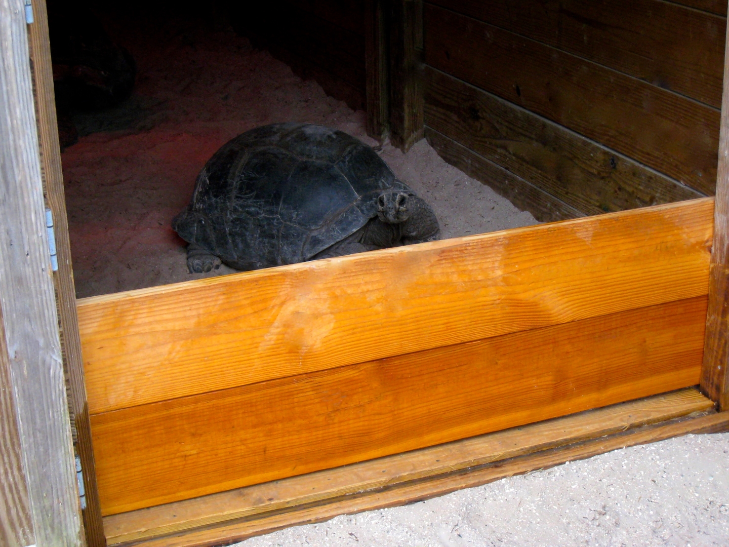 Aldabra Breeders