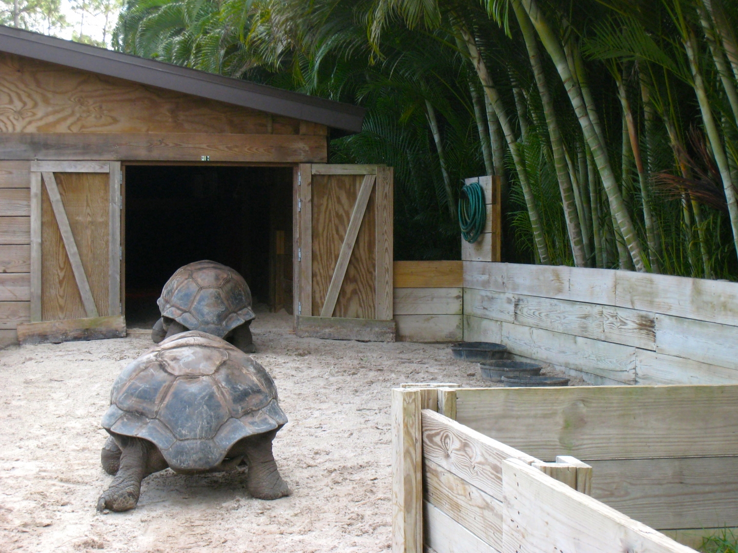 Aldabra Breeders