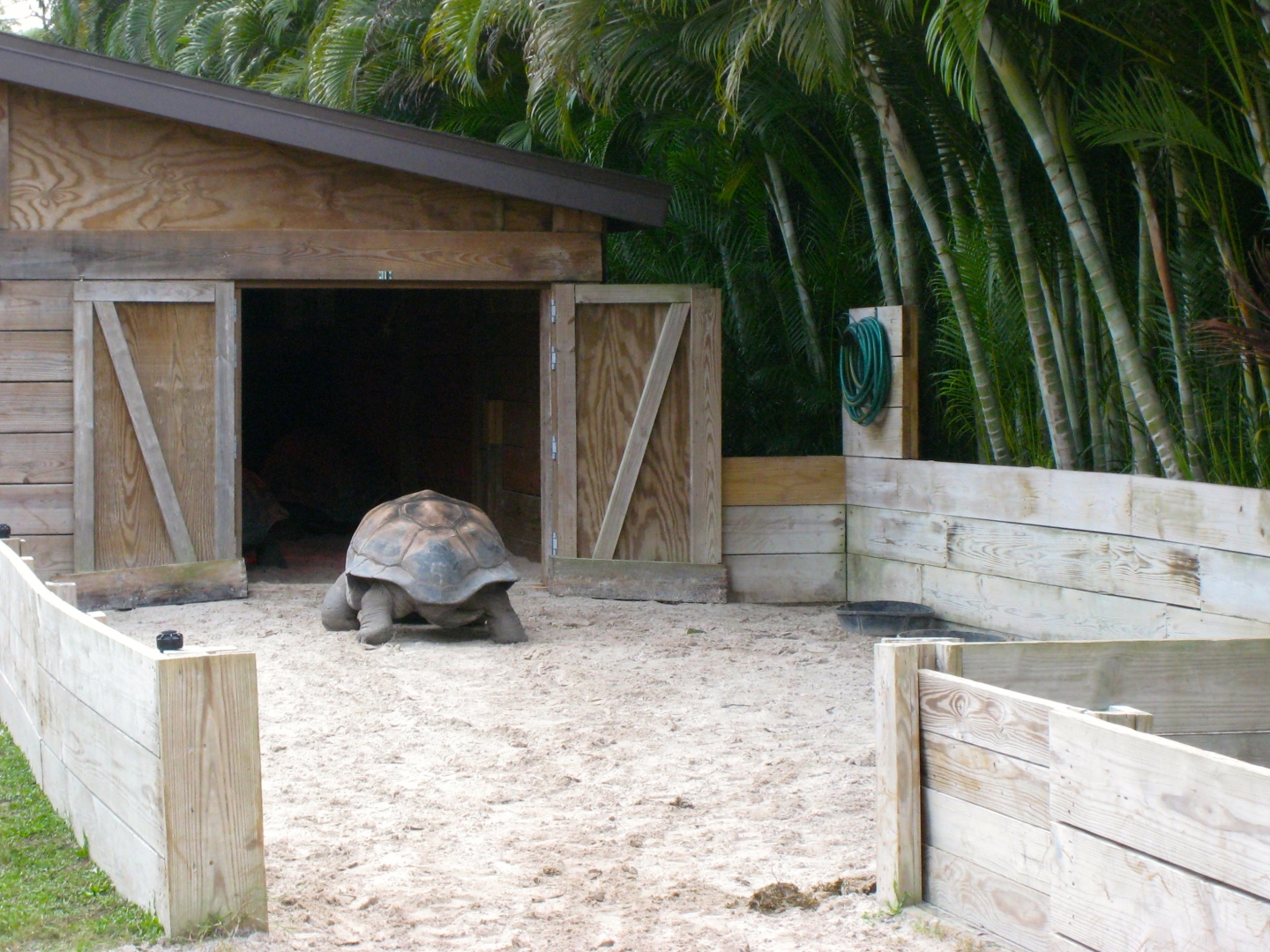 Aldabra Breeders