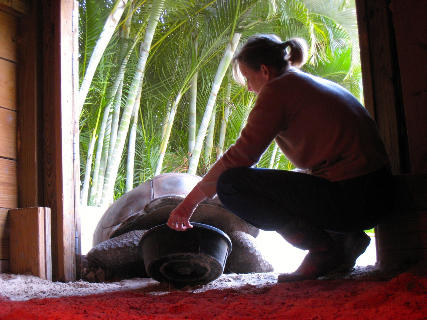 Aldabra Breeders