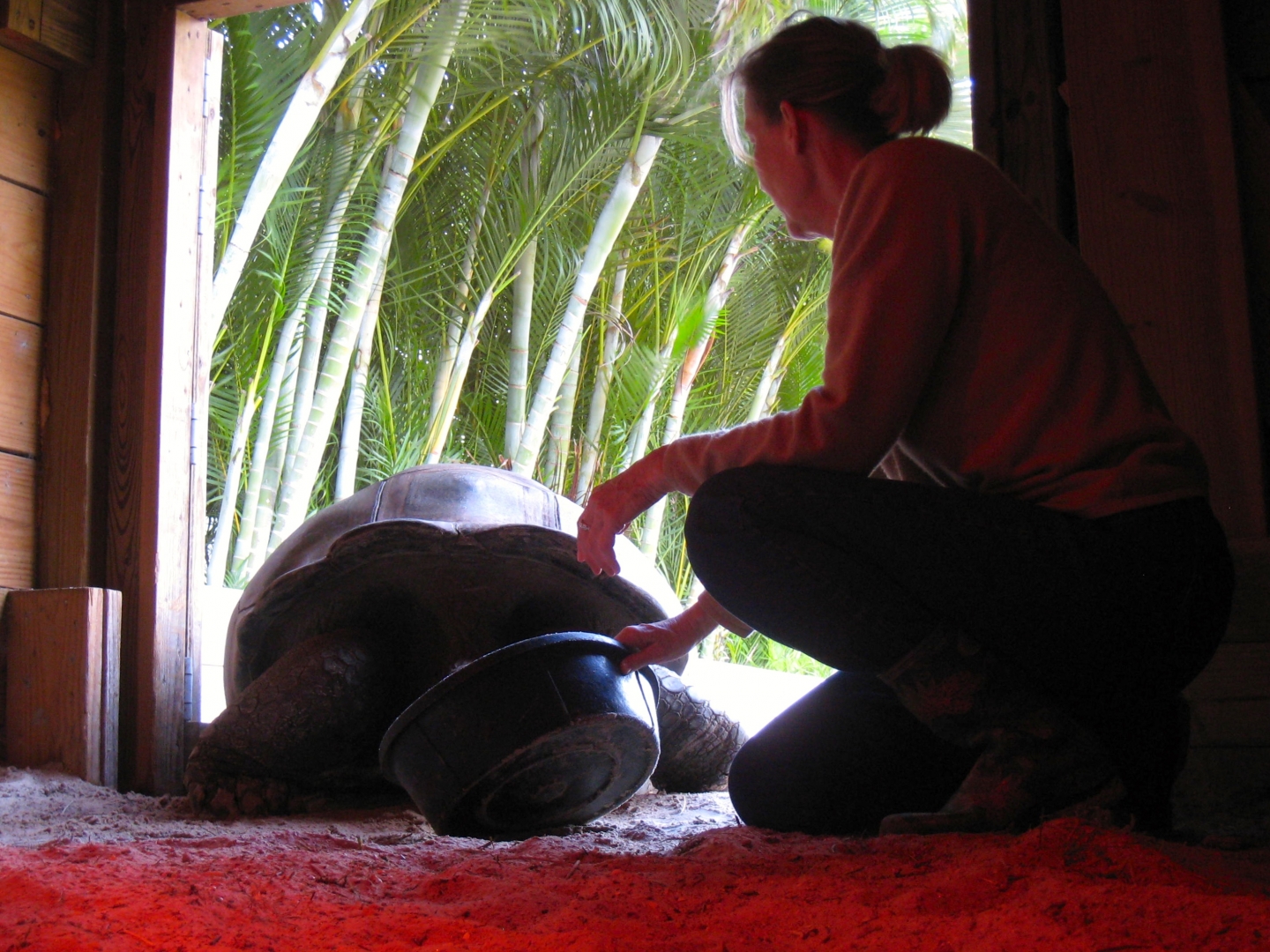 Aldabra Breeders